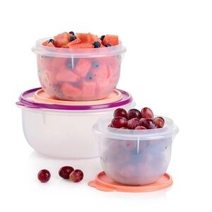 Tupperware Purple and Orange Food Storage Containers